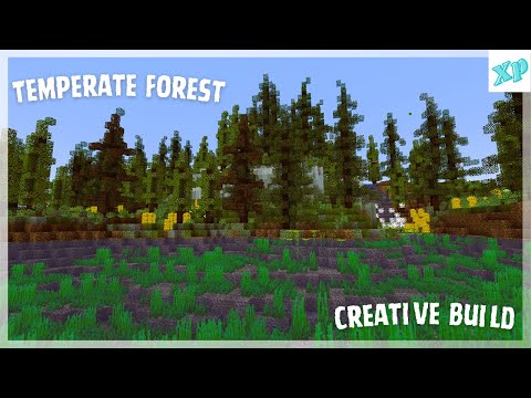 Ultimate Minecraft 1.20 Tempting Forest Build!