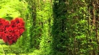 Renaissance   Let it grow