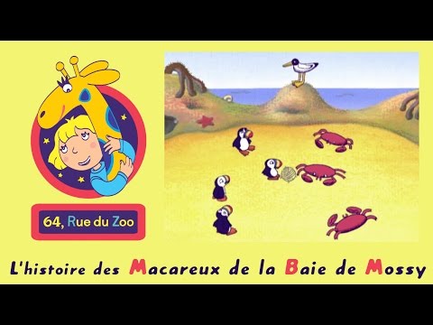64 Rue du Zoo - L'histoire des macareux de la baie de Mossy S02E10 HD | Dessin animé en français