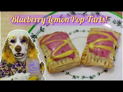 Homemade Blueberry Lemon Pop-Tarts! Featuring "Fresh! by Flitt"