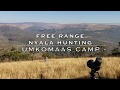 Nyala Hunting Crusader Safaris
