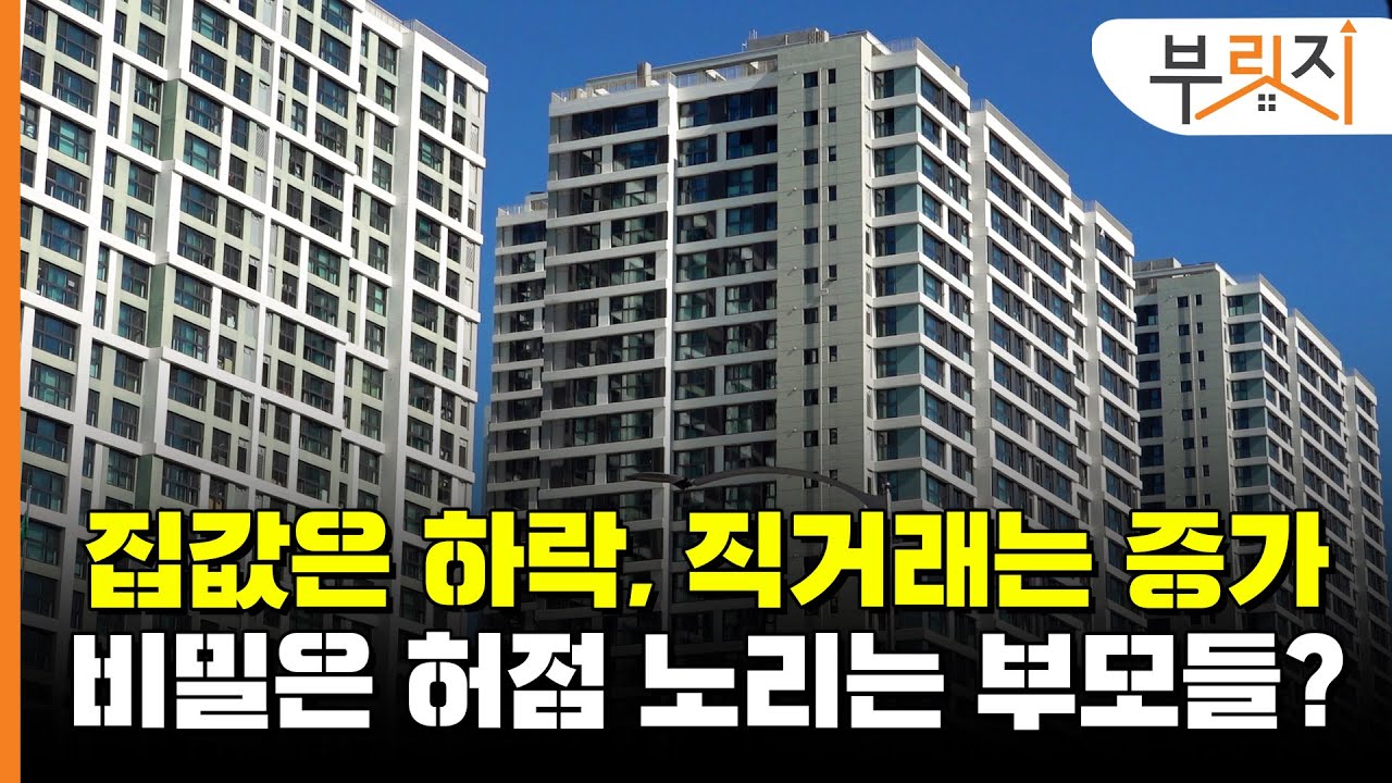 [부릿지GO]집값은 떨어지는데, 직거래는 늘었다...비밀은 허점을 이용하는 부모들?