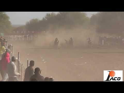 MAL ACOSTUMBRADA EL PANGARE CRUZ DEL EJE 10 7 2022