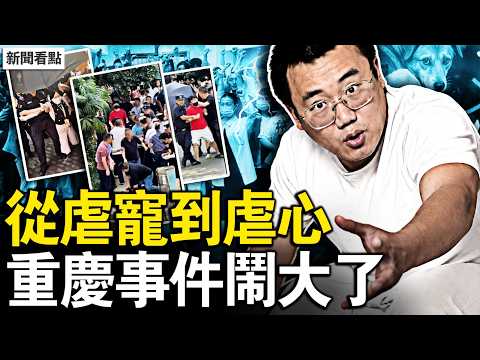 重慶事件鬧大，警察違法被抓；虐寵殺寵賺錢，打包哥自稱叛逆；打包哥虐寵，中共護惡虐心；中國多少人失業？銀行職員月薪140【新聞看點 李沐陽6.9】#新聞看點 #李沐陽