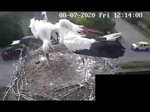 Video 00221 Sepsiszentgyörgy  Riadó 08 07