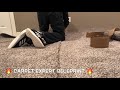 Carpet Seams Carpet Stretch Carpet Removal The Content DUMP