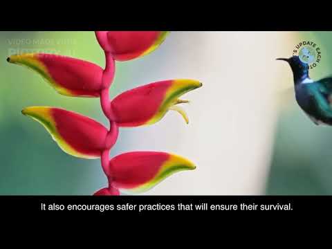 The Untold Secrets of National Hummingbird Day- September 2, 2023