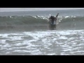LAtinos Clip 5