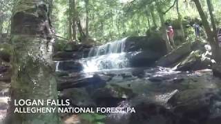 Logan Falls, Pennsylvania
