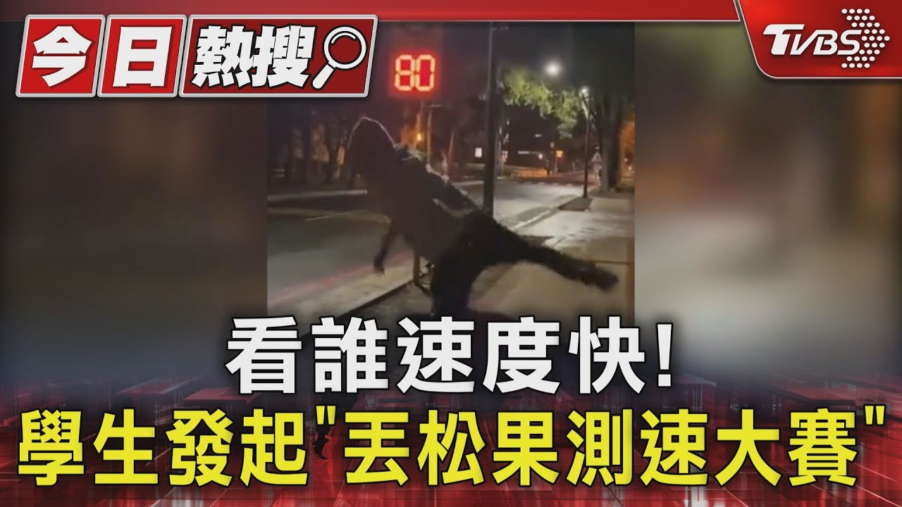 看誰速度快! 學生發起「丟松果測速大賽」