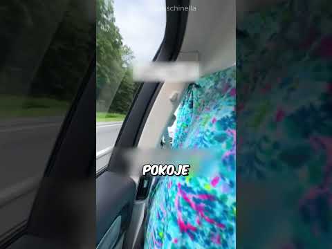 Nejúžasnější auto na dlouhou cestu