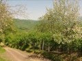 Açmabaşı Köyü Hemşinlileri Gökhan Birben 