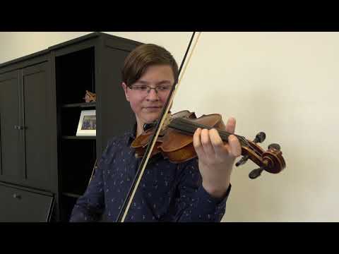 Smyčcové nástroje - ZUŠ Zábřeh