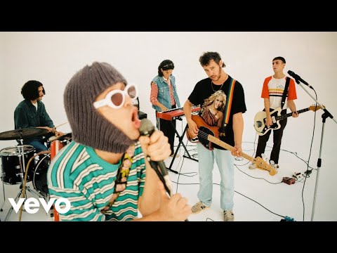 The Parrots - Amigos