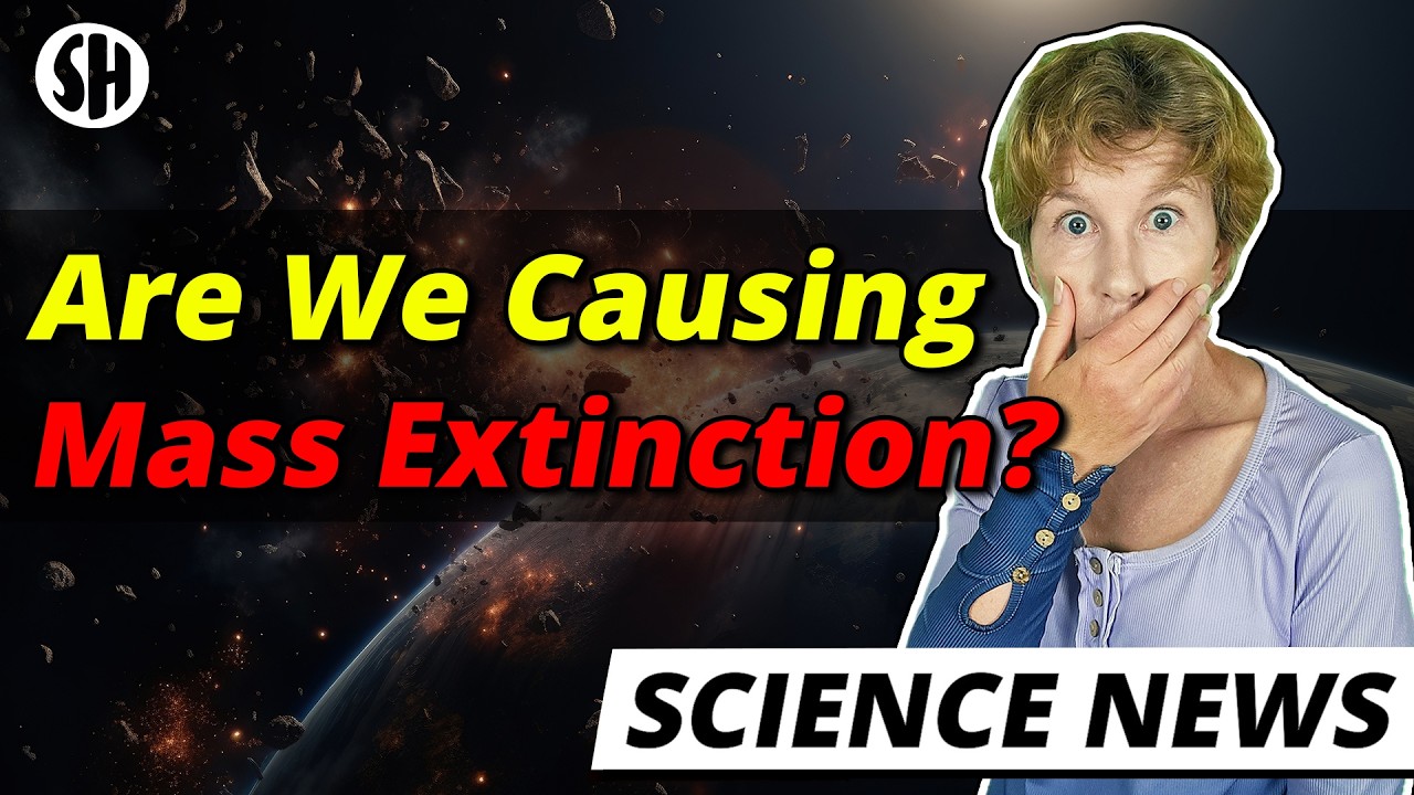 How Close Are We to a New Mass Extinction?