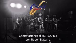 Contacto Norte-El Rock Del Sapo