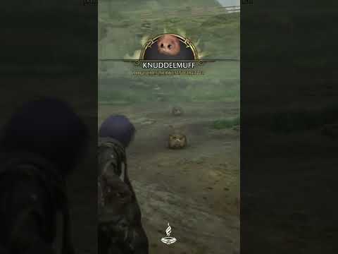 Hogwarts legacy  ❎ So farmst du schnell dein Gold #shorts