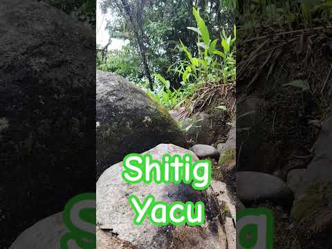 Río Shitig, Tena, Napo, Ecuador.#turisteando #paisajesextremos 🌳💐🌲🌴🐠💦