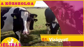 51. - Vízágy marháknak -Délibáb Tv-