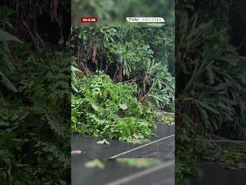 FUERTES LLUVIAS AFECTAN A LIMÓN Y SARAPIQUÍ | TVN NOTICIAS