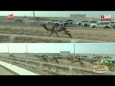 ش 7 (مذخورة) لـ مطر محمد دحروي العامري 7:29:30 , مهرجان الأمير الوالد 2026/2/6 لقايا الشحانية