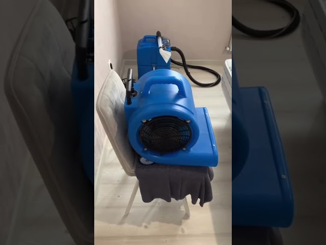 Удаление неприятных запахов и пыли в матрасе 