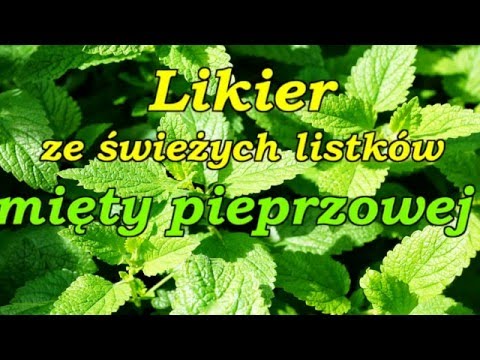 Czyli jeśli zawsze zrobić maski do włosów Maska włosy majonezu na pękanie włosów