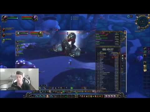 WoW: 16.000g - 30,000g Per hour | Steady Gold & Instant Respawn | Primal Life