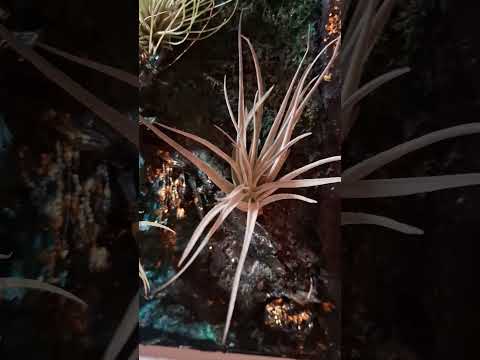 Werkvideo Vorschau zu Sediment im Flussbiotop