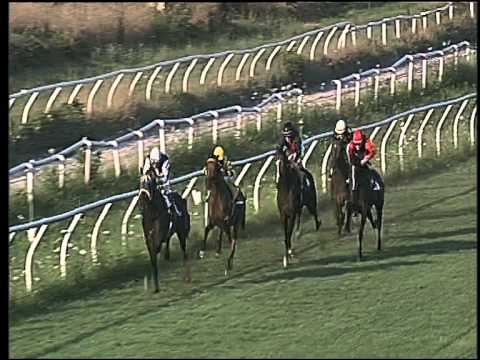 Galoppo 15/07/2015 - 2° corsa