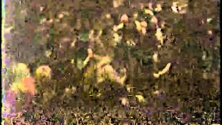 Cave In - Middle Sex County College 1999