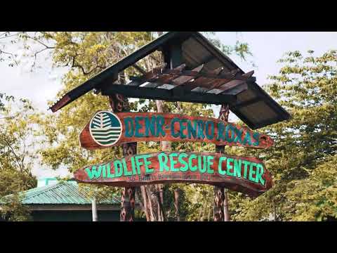 Lakbay Oriental Mindoro Online Store SDE