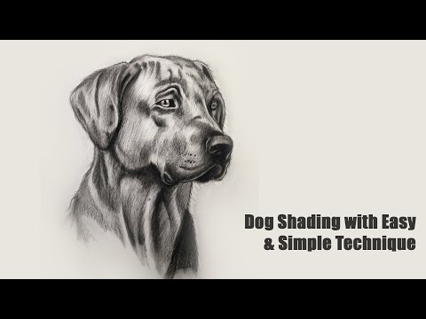 Drawing for Beginners Step by Step | Day 011 Part 1 | Basic Pencil Shading Technique Part 1