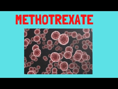 Methotrexat - Wirkmechanismus
