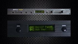 Video thumbnail for E-mu Systems Proteus 1 - Factory Presets (Sounds Only) by wolfgang S vukan