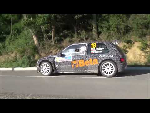 Dobrin Borisov / Plamen Ivanov - 55. Serbia rally 2022 - Renault Clio maxi