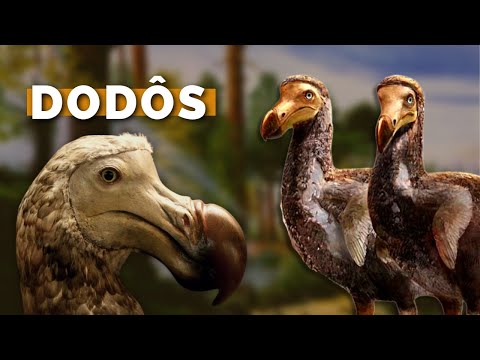 DODÔ - A MISTERIOSA AVE QUE VIVIA APENAS EM UMA PEQUENA ILHA! O QUE ACONTECEU COM ESSES ANIMAL?