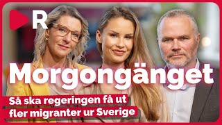 Morgongänget: Så ska regeringen få ut fler migranter ur Sverige
