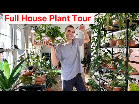 , title : 'House Plant Tour - Over 100 Different Plants in my Home'