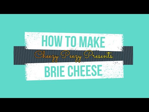 How to make Brie Cheese at home (and how not to!)
