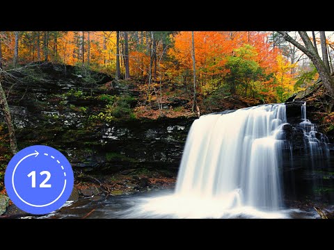 12 Hodin / Zvuky / VODOPÁD V LESE / Bílý šum / Zvuky Přírody / Zvuky na Spaní