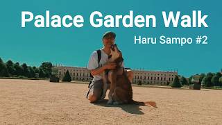 【ドイツ暮らし】 ドイツの初夏 30度超えのプロイセン王家の宮殿を愛犬と庭園散歩｜Haru Sampo