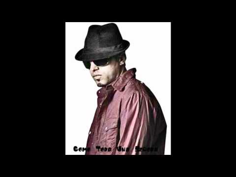 como toda una señora - dalmata HQ