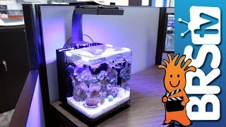 EcoTech XR15w Pro LED Light