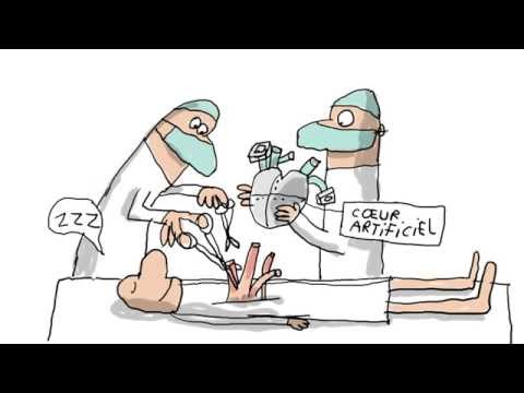 Peut-on vivre sans cœur ? - 1 jour, 1 question