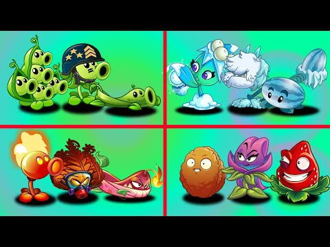 Team peapod Vs Team wintermelon Vs Team firepeashooter Vs Team strawburst  - Who Will Win?