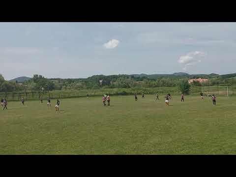 Gol Pitic in Metalul - Gen. Berthelot 2-0