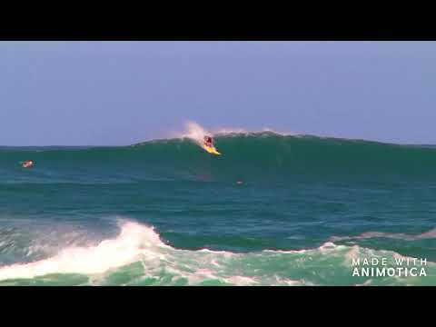 Tropic Fun - Maiwan by  EPIDEMICSOUND.