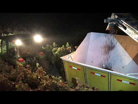 Scheid Vineyards Night Harvest 2017