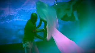 Where Heaven Meet Earth